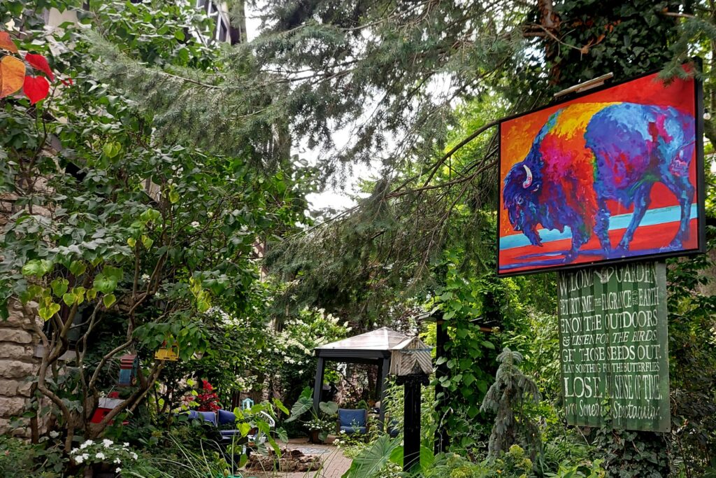 A stunning yard in Elmwood village during Buffalo's better weather. Credit: Kathleen Culbertson, Upsplash.